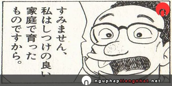 Ngữ pháp ～ものですから