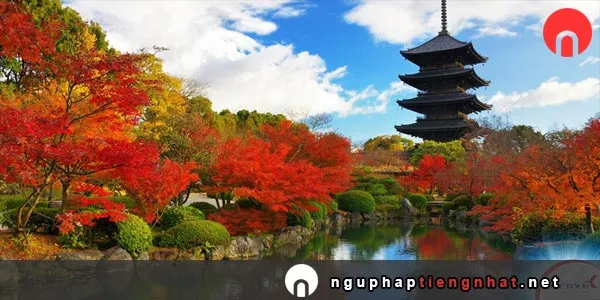 Ngữ pháp ～において