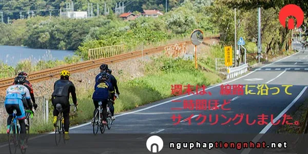 Ngữ pháp ～に沿って