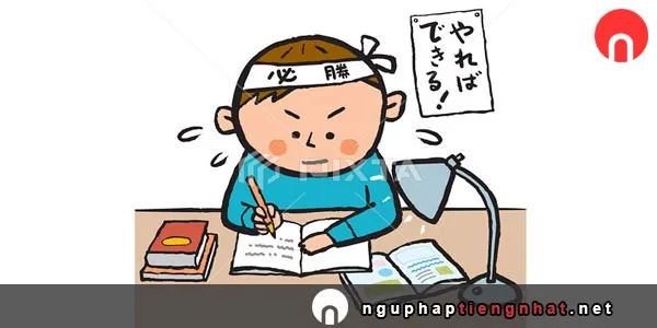 Cách sử dụng ～ので、から trong tiếng Nhật
