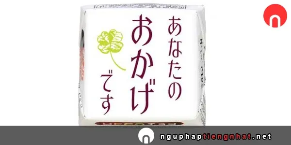 Ngữ pháp ～おかげで