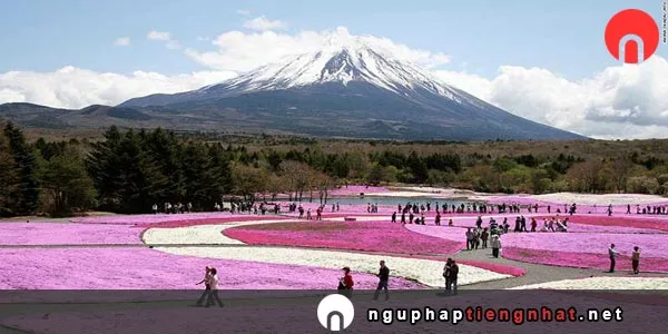 Mẫu câu ～と思います。
