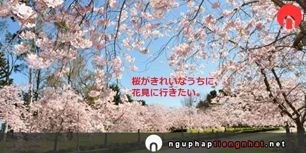 Ngữ pháp ～うちに
