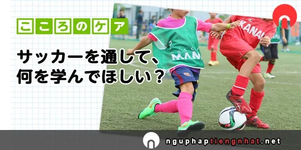 Ngữ pháp ～を通（とお）して、～を通（つう）じて