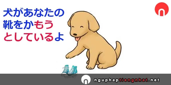 Ngữ pháp ～ようとする、～ようとしない