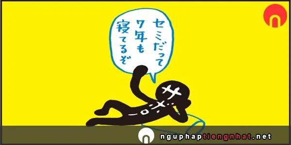 Ngữ pháp ～って