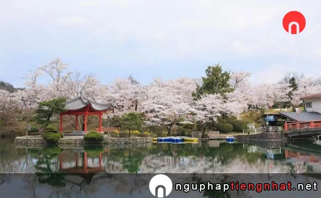 Những địa điểm ngắm hoa anh đào ở Nhật, Du lịch Chuugoku