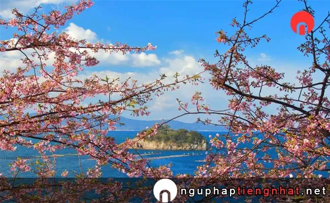 Những địa điểm ngắm hoa anh đào ở Nhật, Du lịch Kyuushuu và Okinawa