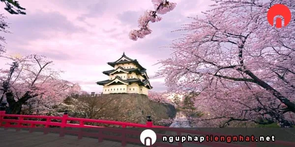phân biệt の và こと 