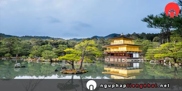 phân biệt そう、らしい、みたい、よう