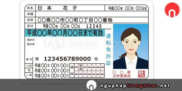 Cách đổi bằng lái xe việt nam sang bằng lái Nhật bản