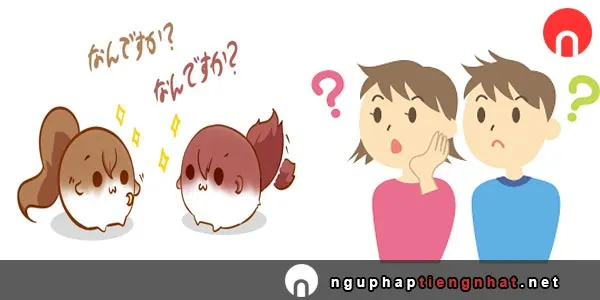 Tổng hợp từ nghi vấn n5 trong tiếng Nhật