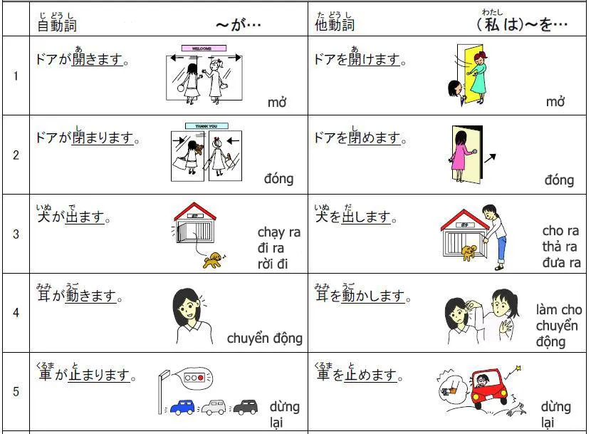 Tự động từ và tha động từ
