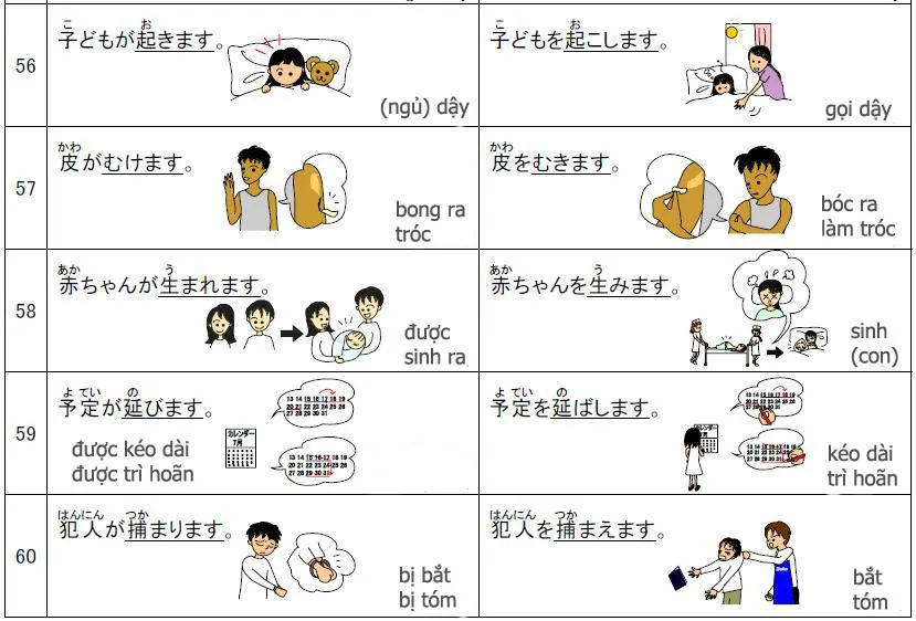 Tự động từ và tha động từ