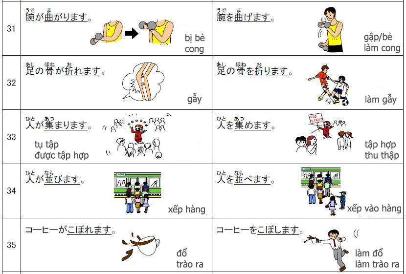 Tự động từ và tha động từ